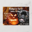 Search for pet pug invitations Party
