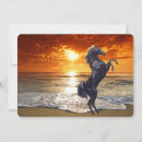 Search for stallion cards Rearing