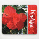 Search for hibiscus photo electronics Flower