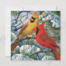 Search for red cardinal christmas cards Beautiful
