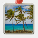 Search for coconut christmas tree decorations Palm