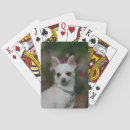 Search for bob and pam langrish Canine photographer