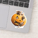 Search for pumpkin vinyl stickers Humour