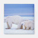 Search for predators magnets Animal