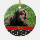 Search for first dog christmas tree decorations New puppy