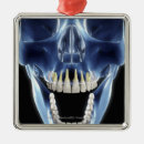 Search for x ray christmas tree decorations Human