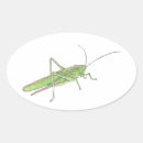Search for grasshopper stickers Bug