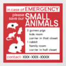 Search for rat window decals Pet