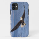 Search for haliaeetus iphone cases Animal