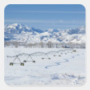 Search for wintery stickers Snowy