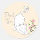 Search for beautiful cat stickers Birthday