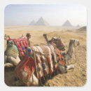 Search for cairo stickers Egypt