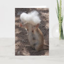 Search for squirrel mothers day cards Rodent