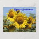Search for green stems postcards Blue