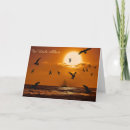 Search for seascape cards Outdoors