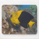 Search for individual mousepads Full length