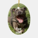 Search for pitbull christmas tree decorations Blue nose pitbull