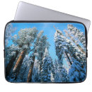 Search for sequoia electronics Snow