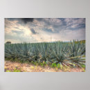 Search for distiller art Distillation