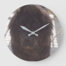Search for newfoundland clocks Pets
