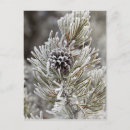 Search for foreground postcards Tree
