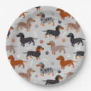 Search for dog plates Doxie