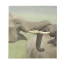 Search for head notepads Wildlife