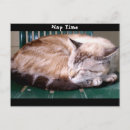 Search for nap postcards Cat