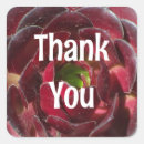 Search for succulent plants stickers Thank you