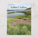 Search for fireweed postcards Landscape