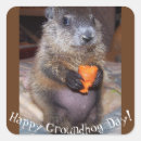 Search for woodchuck stickers Cute
