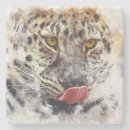 Search for leopard paintings coasters Big cat