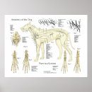 Search for chart art Dog