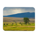 Search for granite magnets Nature