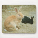 Search for easter baby mousepads Rabbit