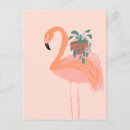 Search for flamingo postcards Nature