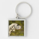 Search for profiling key rings One animal