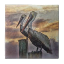 Search for pelican tiles Bird