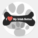 Search for irish setter dog stickers Red