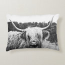 Search for longhorns cushions Farmhouse