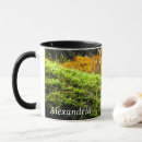 Search for lush photography Forest