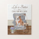 Search for english bulldog puzzles Pet