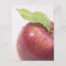 Search for apple green postcards Teacher