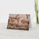 Search for pig anniversary cards Couple