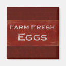Search for antique chickens magnets Eggs