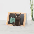 Search for cat reading book cards Kitty