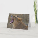 Search for lion cards Roaring