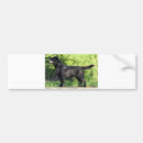 Search for full bumper stickers Cute