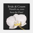 Search for orchids magnets Black