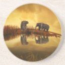 Search for mammal coasters Elephant